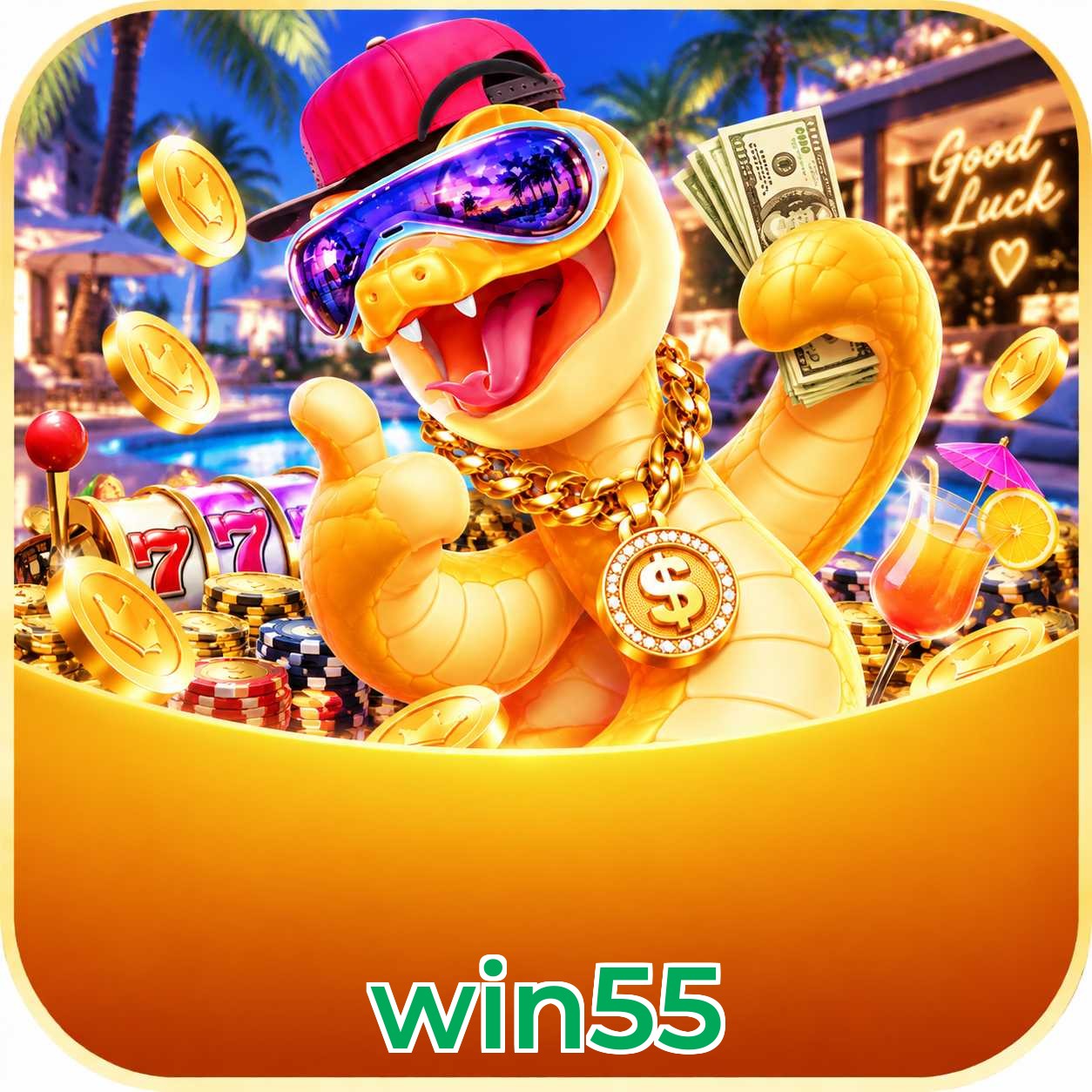 win55 Interface