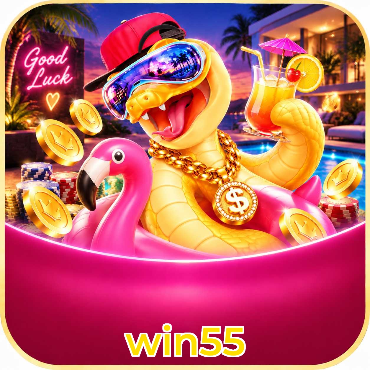 win55 VIP Níveis